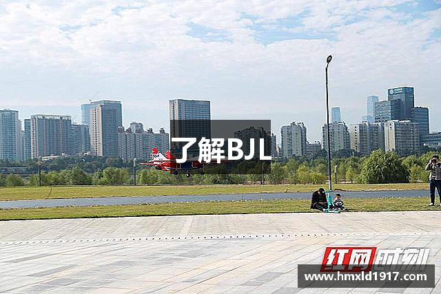 了解BJL